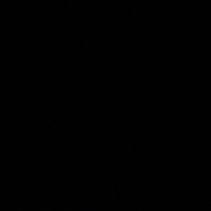 Meet your Posher, Angeline